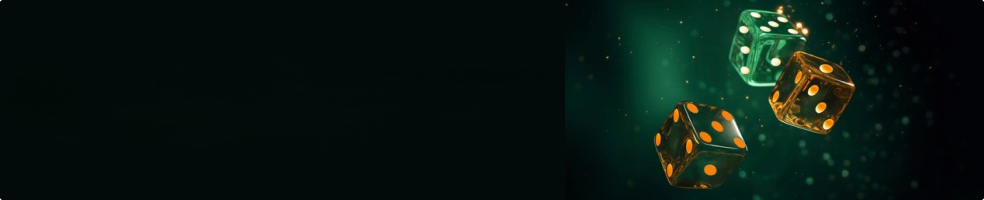 22Casino Mobile application